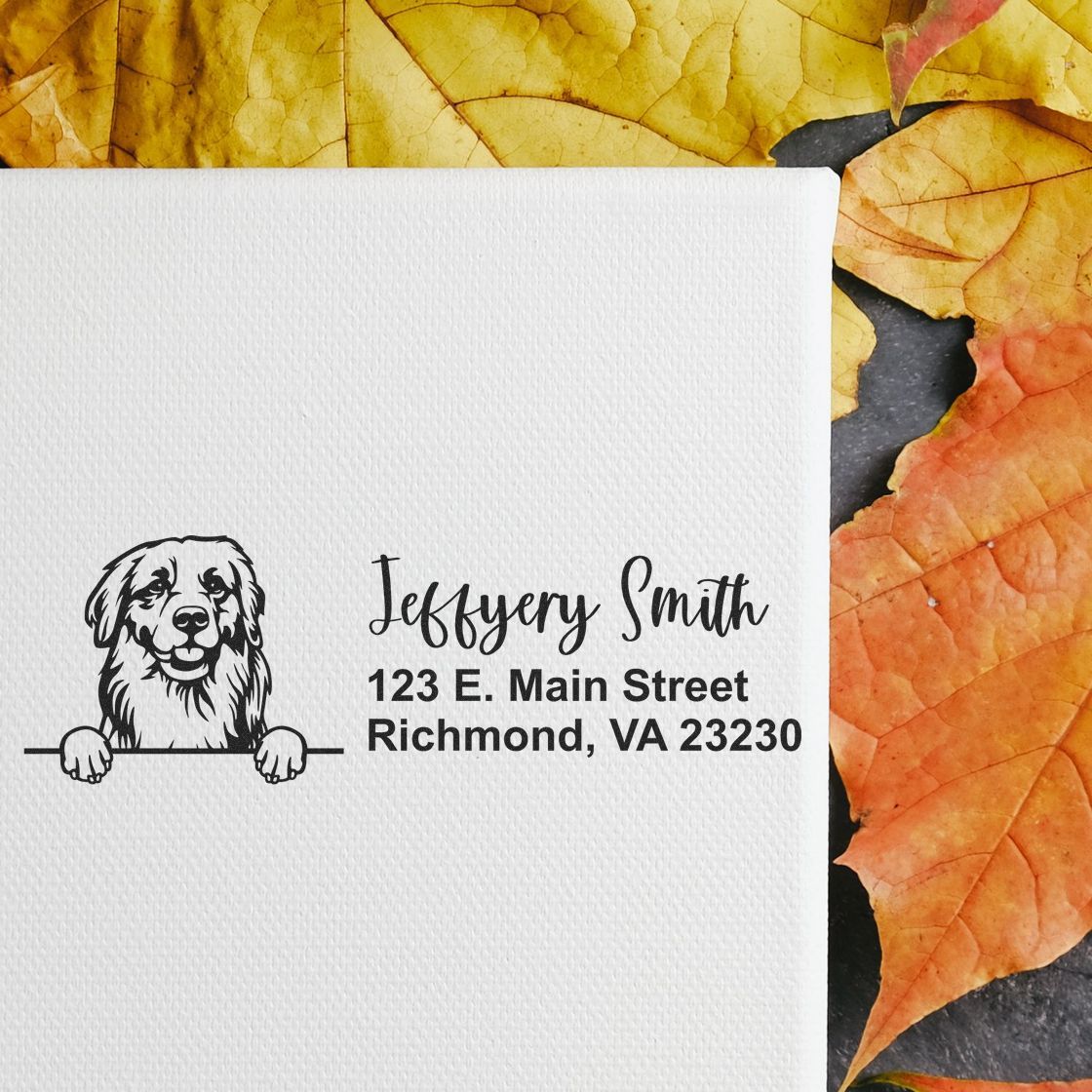 Peeking Golden Retriever Name and Address Rubber Stamp