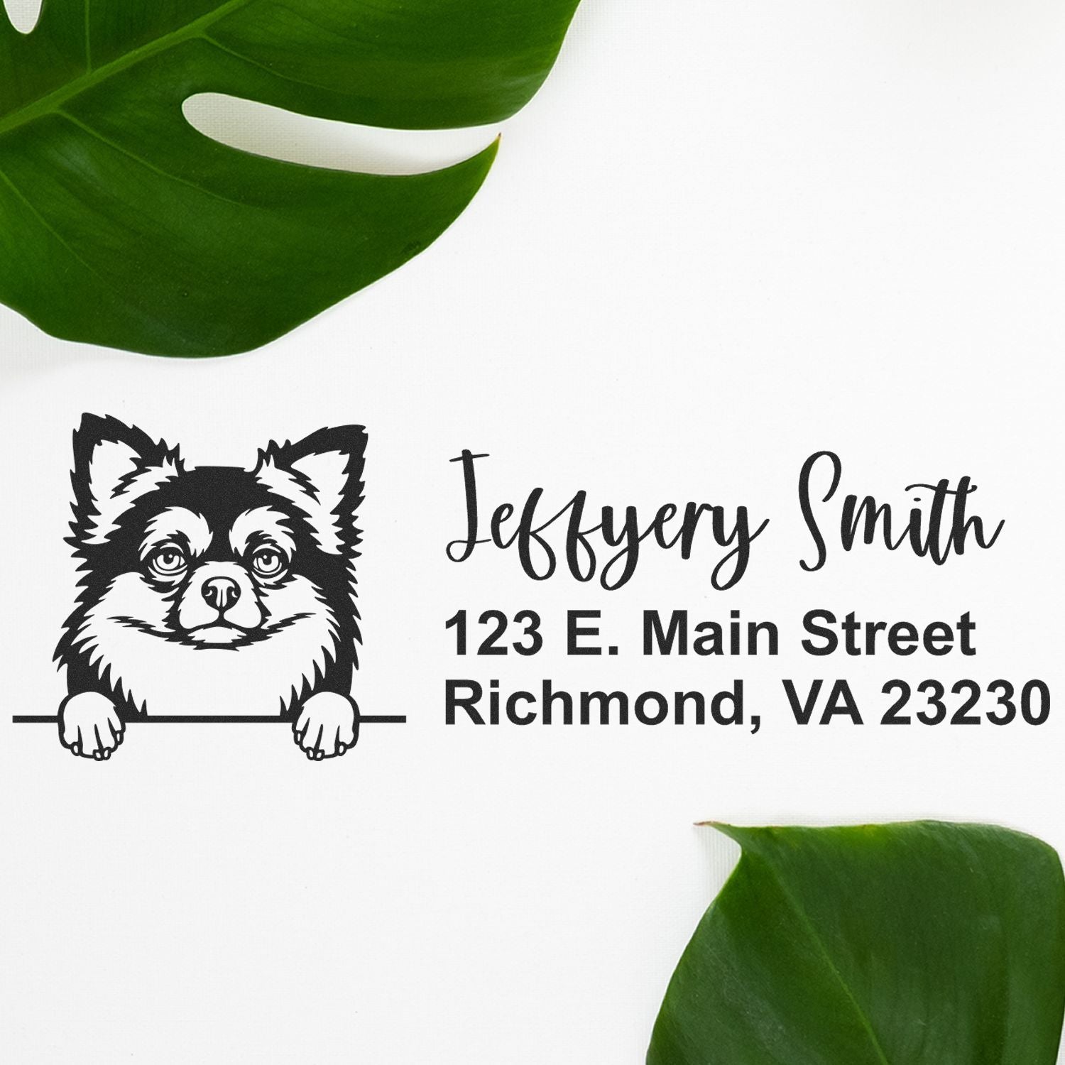 Pre-Inked Long Haired Chihuahua Dog Personalized Address Stamp