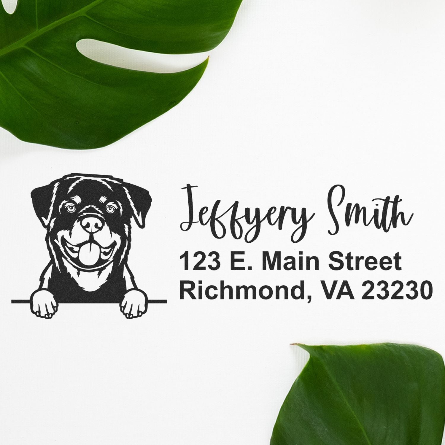 Peeking Rottweiler Name and Address Rubber Stamp