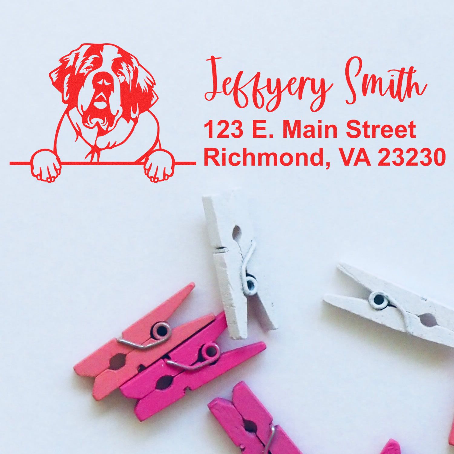 Peeking Saint Bernard Name and Address Rubber Stamp