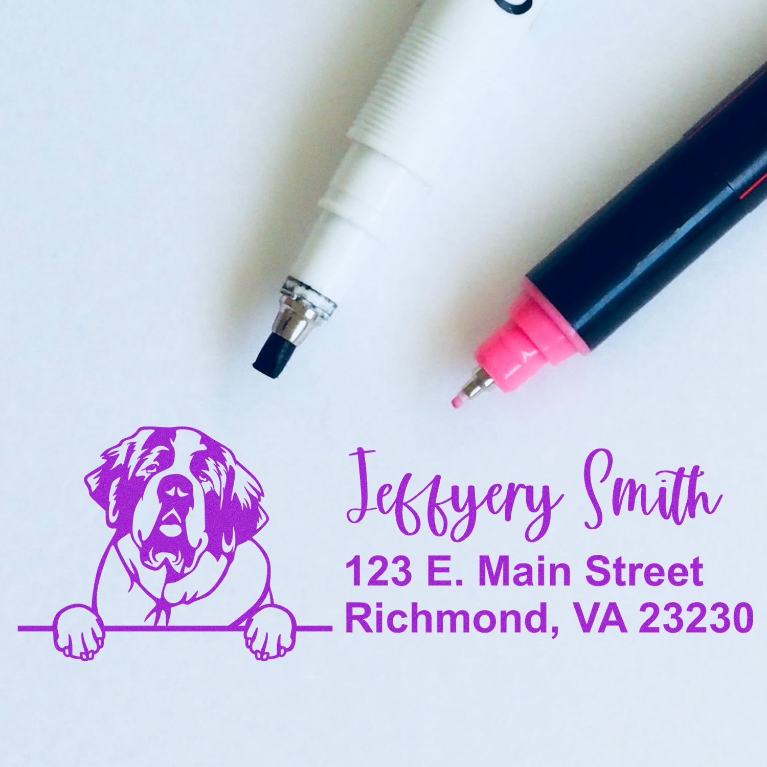 Peeking Saint Bernard Name and Address Rubber Stamp