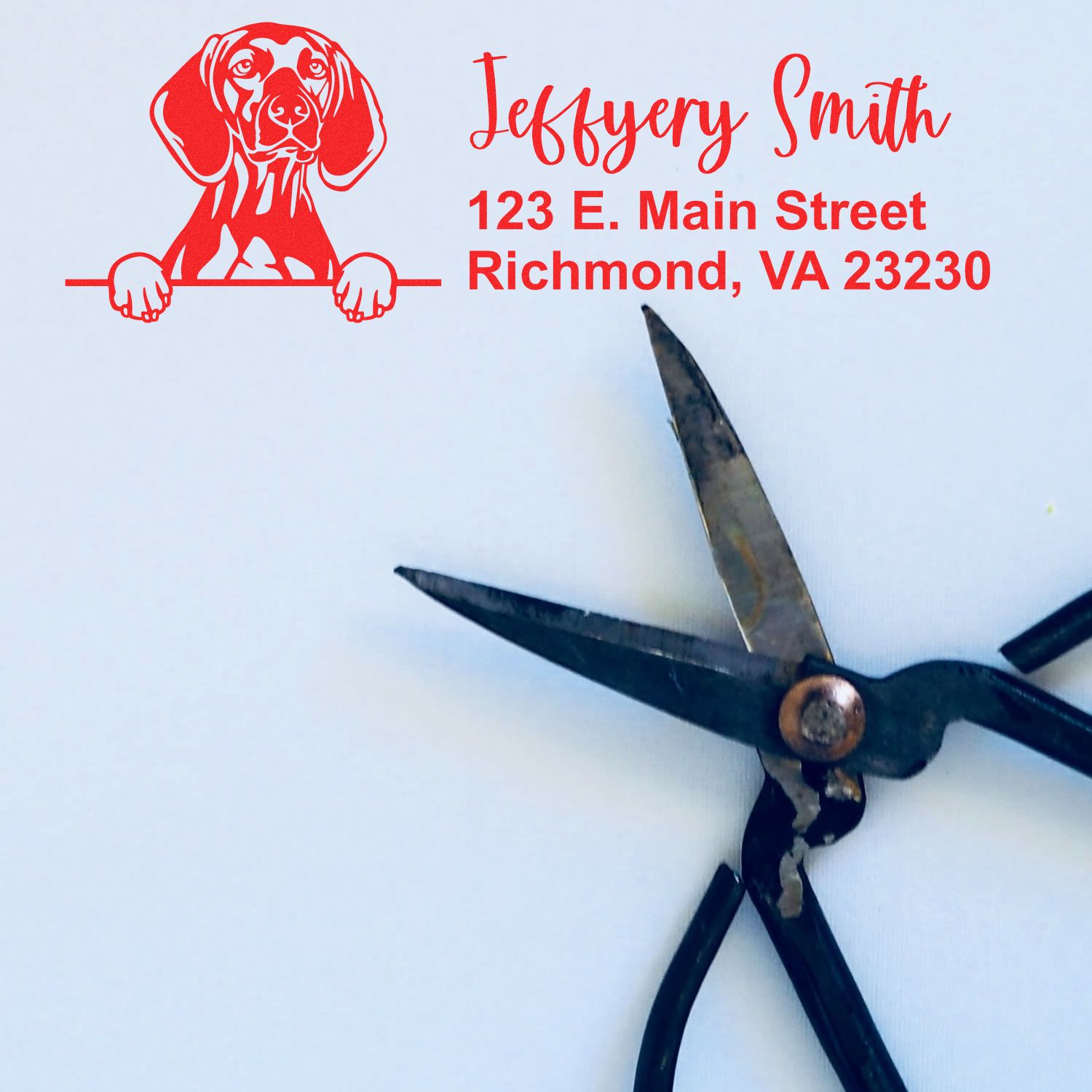 Pre-Inked Vizslas Dog Personalized Address Stamp