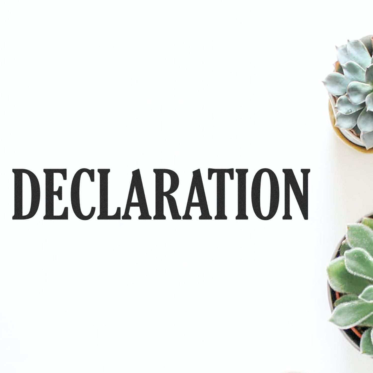 Large Pre-Inked Declaration Stamp imprint on white paper, surrounded by small potted succulents on the right side.