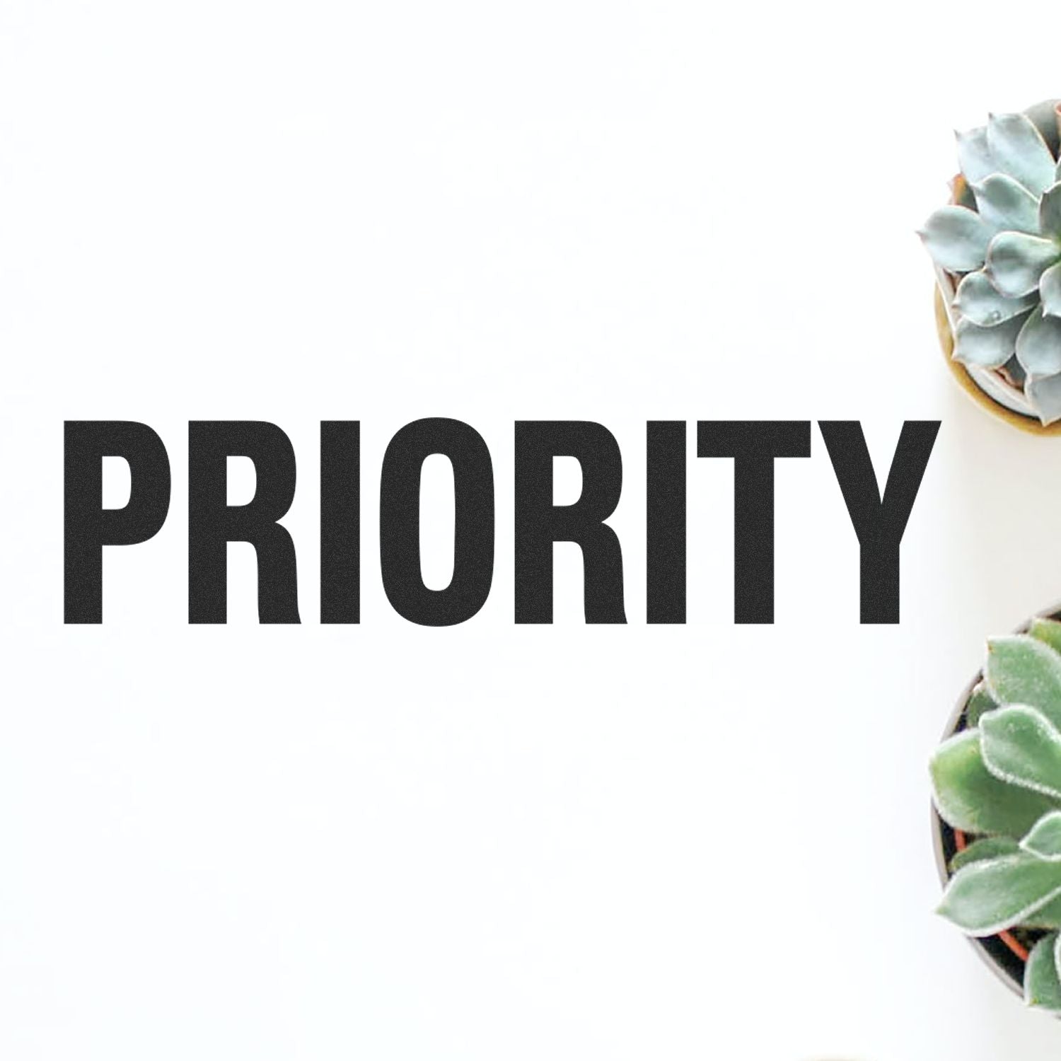 Large Pre-Inked Bold Priority Stamp with the word PRIORITY in black, surrounded by green succulents on a white background.