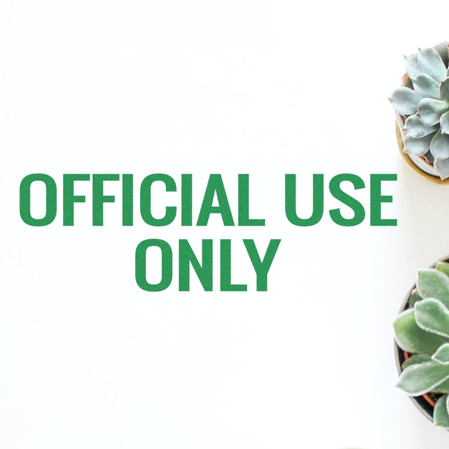 Large Pre-Inked Official Use Only Stamp in green text on a white background with succulents in the corners.