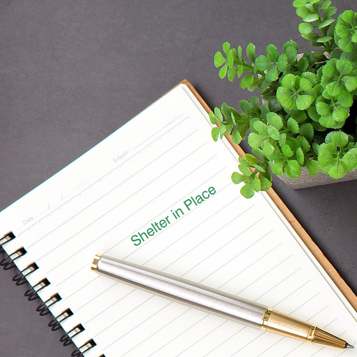 Large Self Inking Shelter in Place Stamp imprint on a notebook page next to a silver pen and a small potted plant.