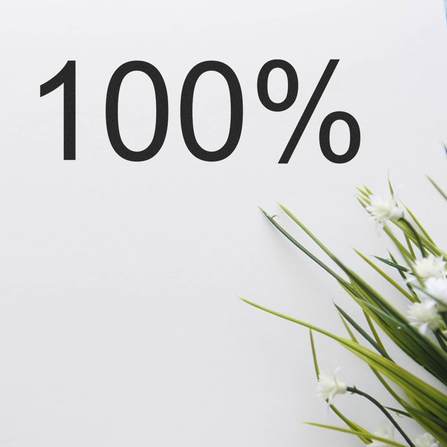 Large 100 Percent Rubber Stamp in use, displaying a bold 100% on white paper, with green plants in the corner.