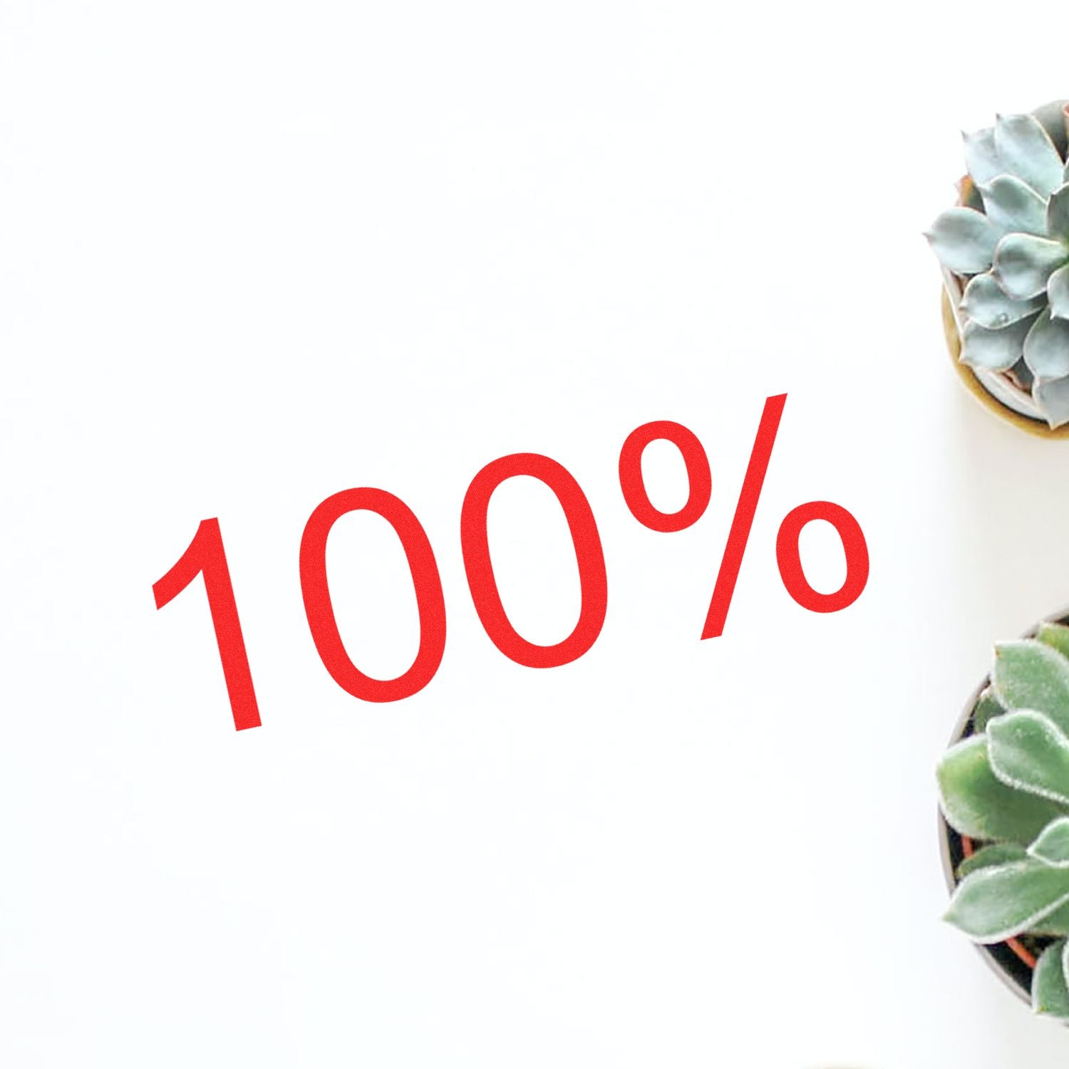 Large Self Inking 100% Stamp in use, displaying a bold red '100%' on white paper, with green succulents in the background.