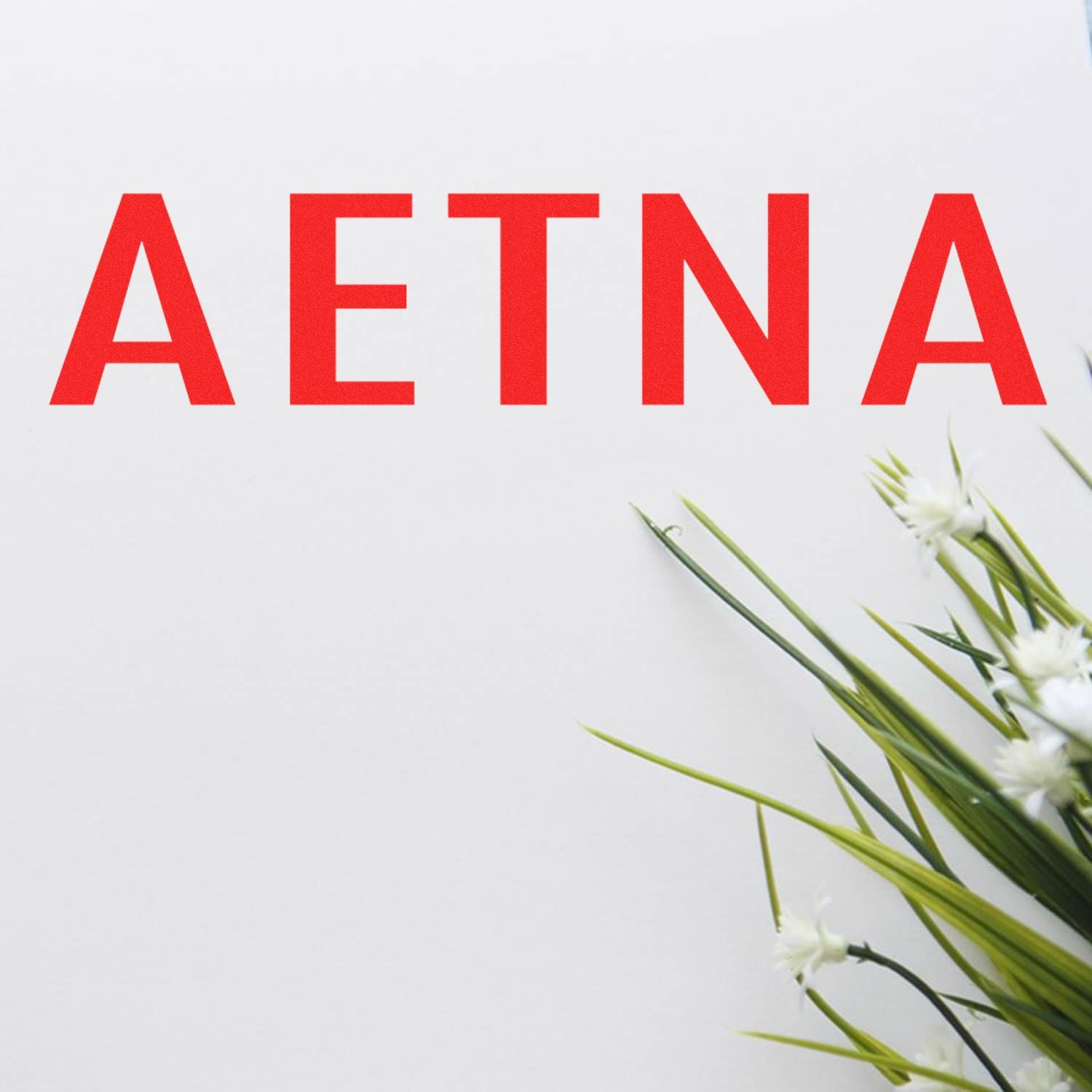 Large Aetna Rubber Stamp in red ink on white paper, with green and white flowers on the right side.