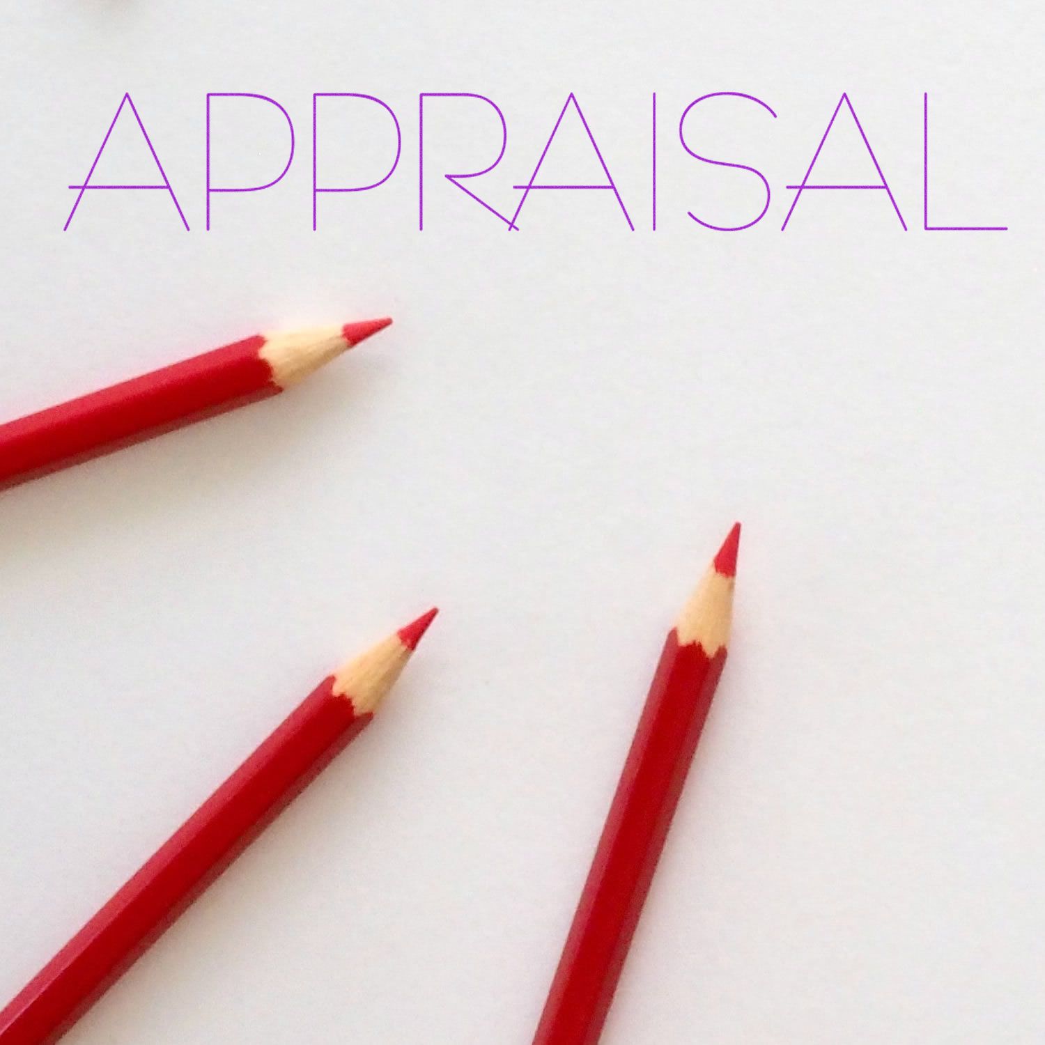 Three red pencils pointing towards the word APPRAISAL stamped in purple using the Large Pre-Inked Appraisal Stamp on a white background.