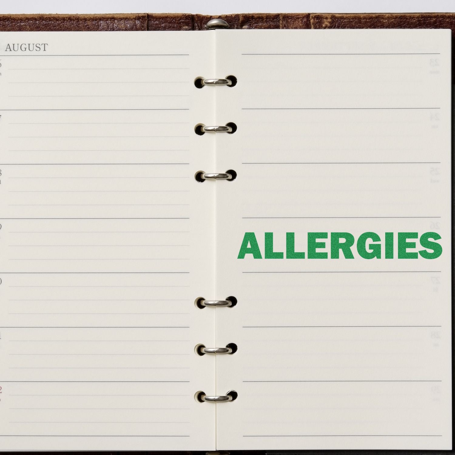 Open planner with ALLERGIES stamped in bold green letters on the right page. Focus word: Bold Allergies Rubber Stamp.