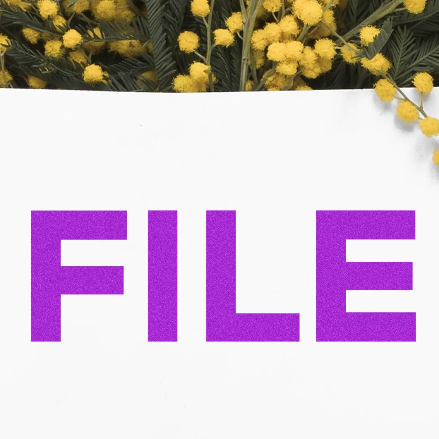 Self Inking Bold File Stamp marking the word FILE in large purple letters on a white sheet, with yellow flowers in the background.