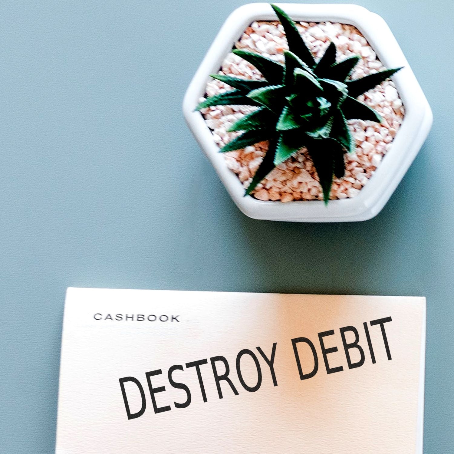 A Self Inking Destroy Debit Stamp marks DESTROY DEBIT on a cashbook page, with a small potted succulent plant in the background.