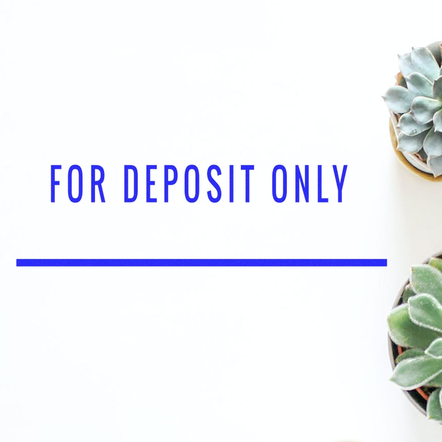 For Deposit Only with Line Rubber Stamp in use, featuring a clear blue imprint on white paper, surrounded by green succulent plants.