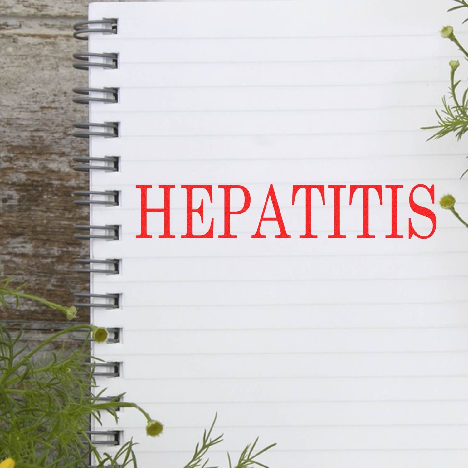 Spiral notebook with HEPATITIS stamped in red using the Hepatitis Rubber Stamp, surrounded by green plants on a wooden surface.