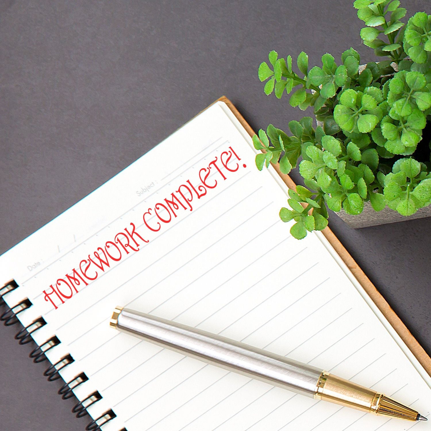 A notebook with HOMEWORK COMPLETE! stamped in red using the Large Homework Complete Rubber Stamp, next to a pen and a potted plant.