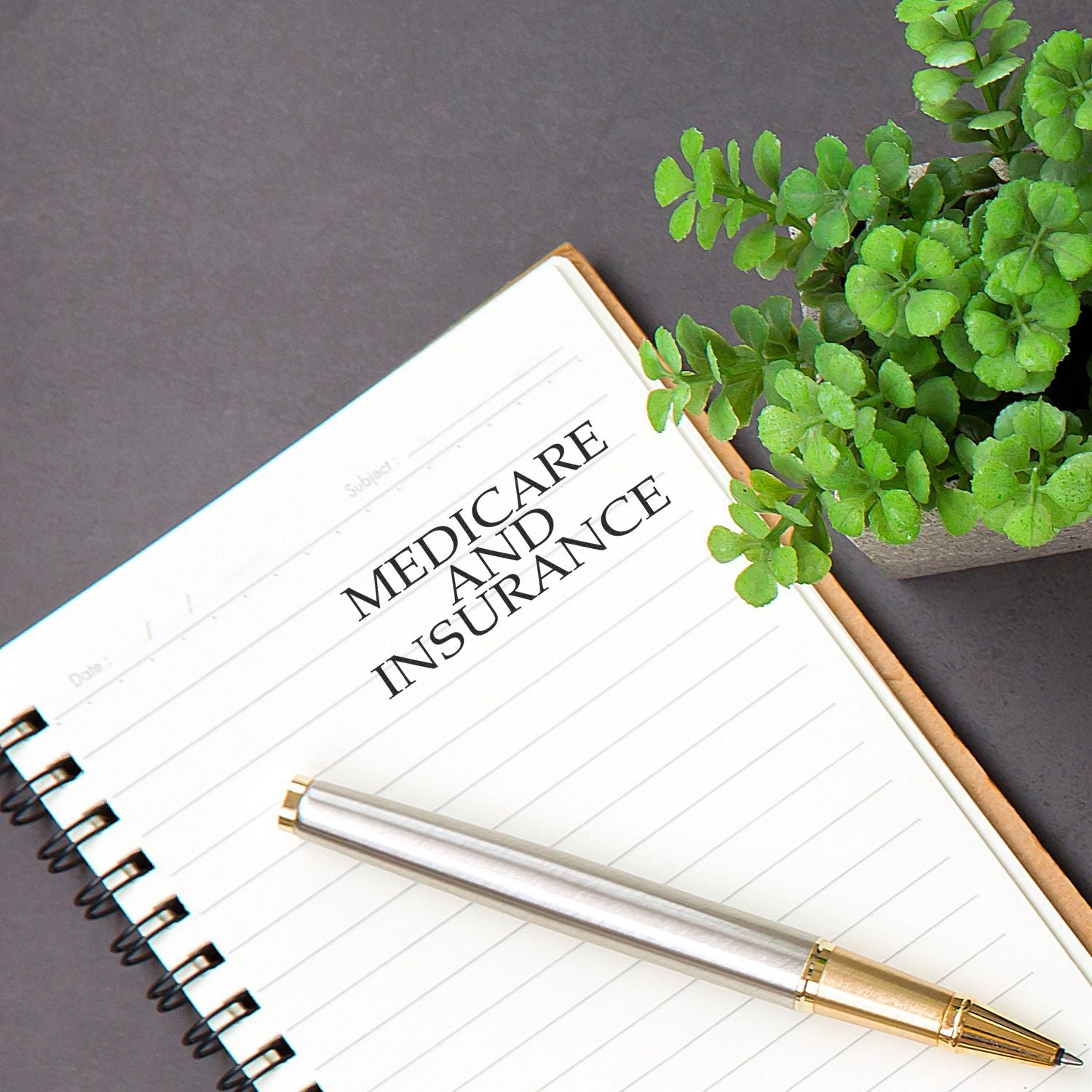 A Large Medicare And Insurance Rubber Stamp is used on a notebook page beside a silver pen and a small potted plant.