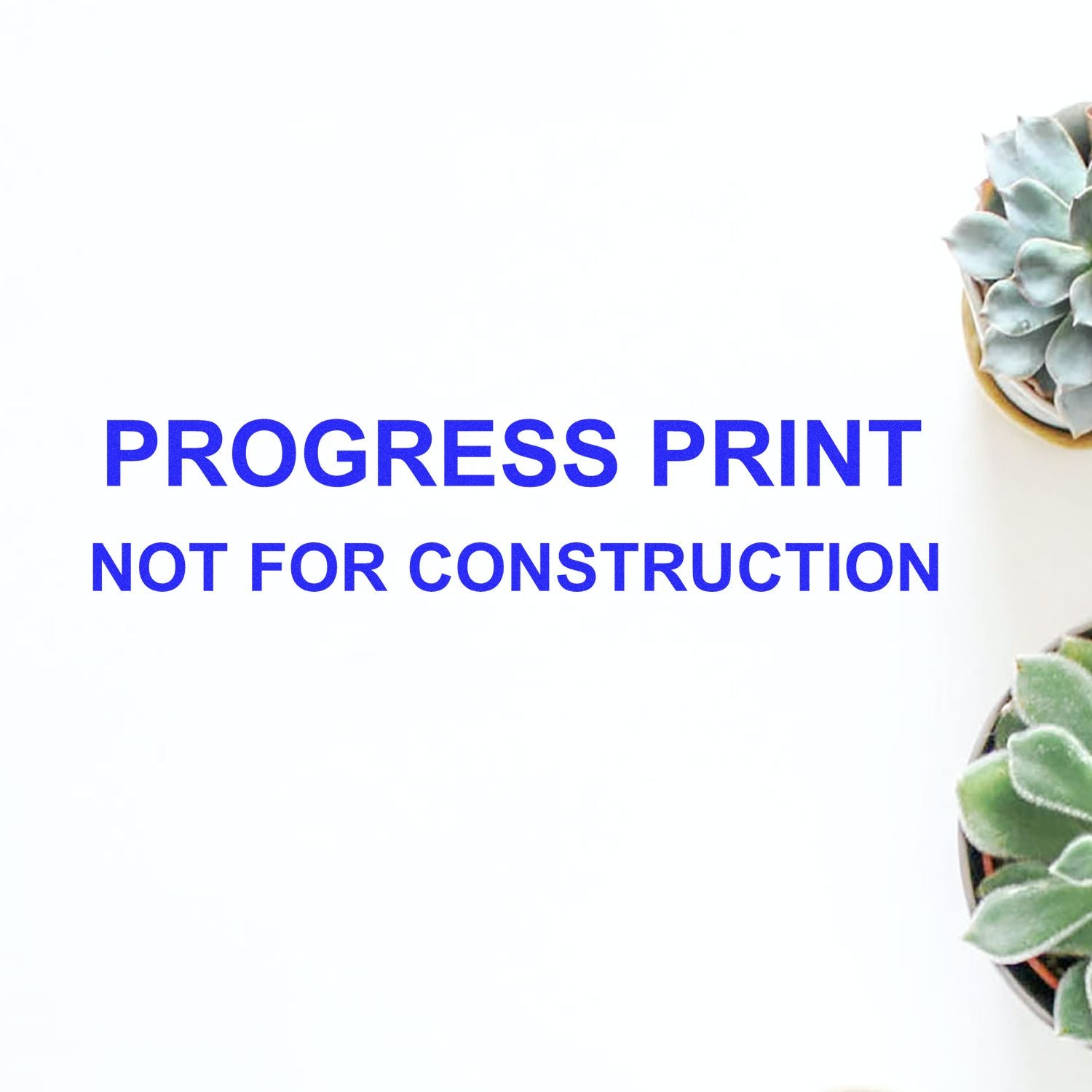 Self Inking Progress Print Stamp marking 'PROGRESS PRINT NOT FOR CONSTRUCTION' on paper with two small potted succulents on the side.