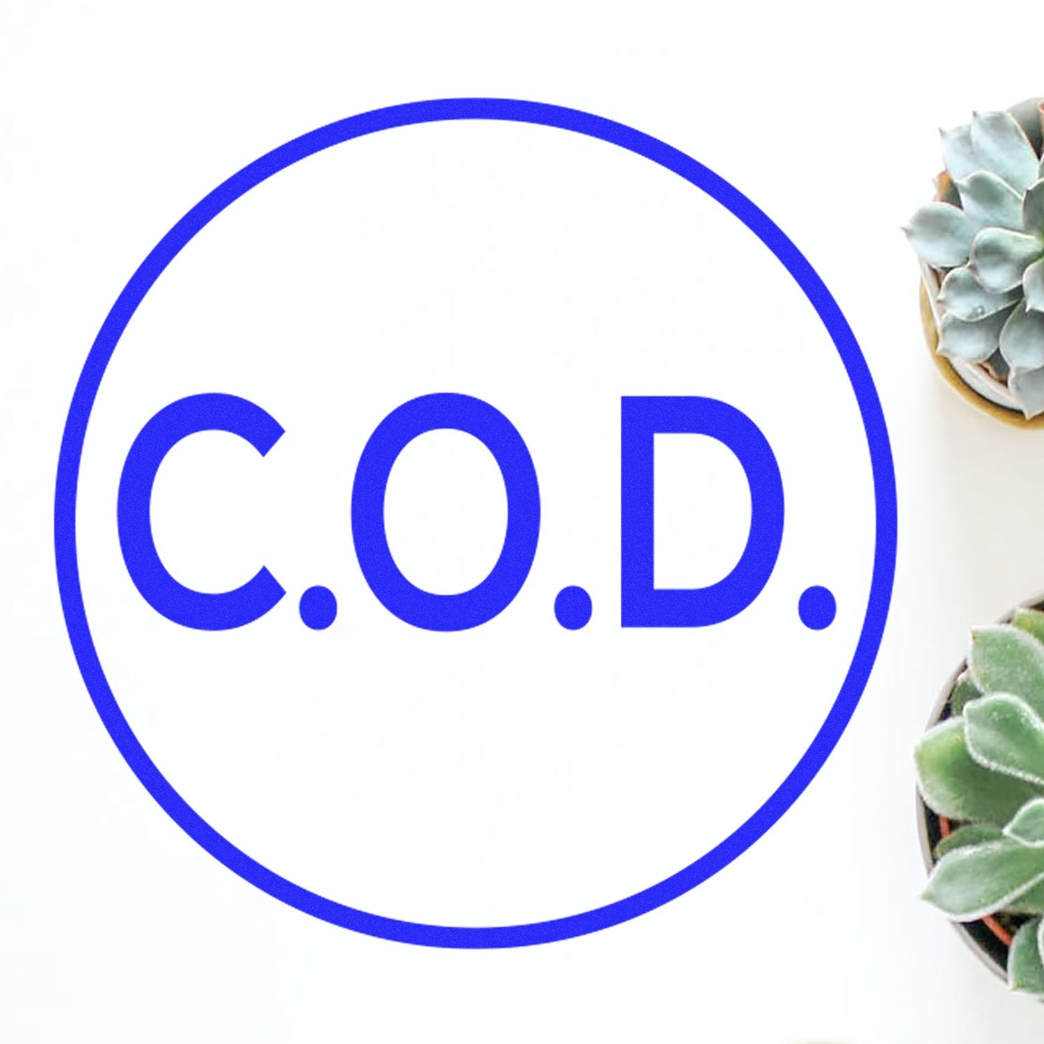 Round COD rubber stamp in blue ink on white paper, surrounded by small potted succulents.