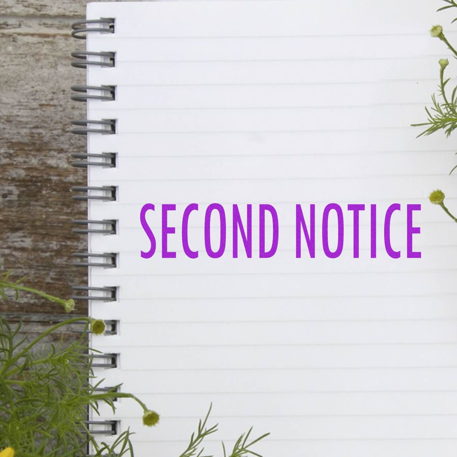 Second Notice rubber stamp on a spiral notebook with lined pages, surrounded by green plants on a wooden surface.