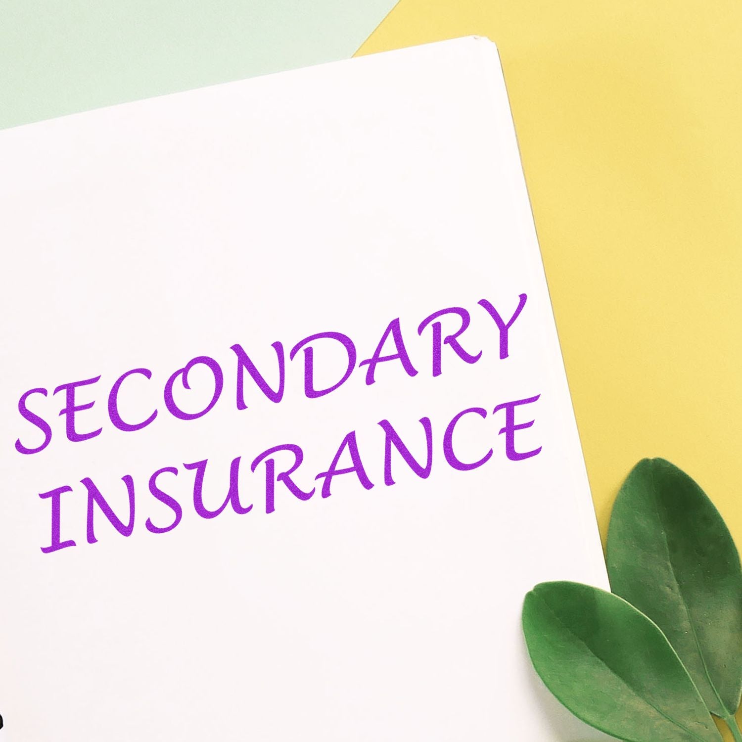 Secondary Insurance Rubber Stamp in purple ink on white paper with green leaves and yellow background.