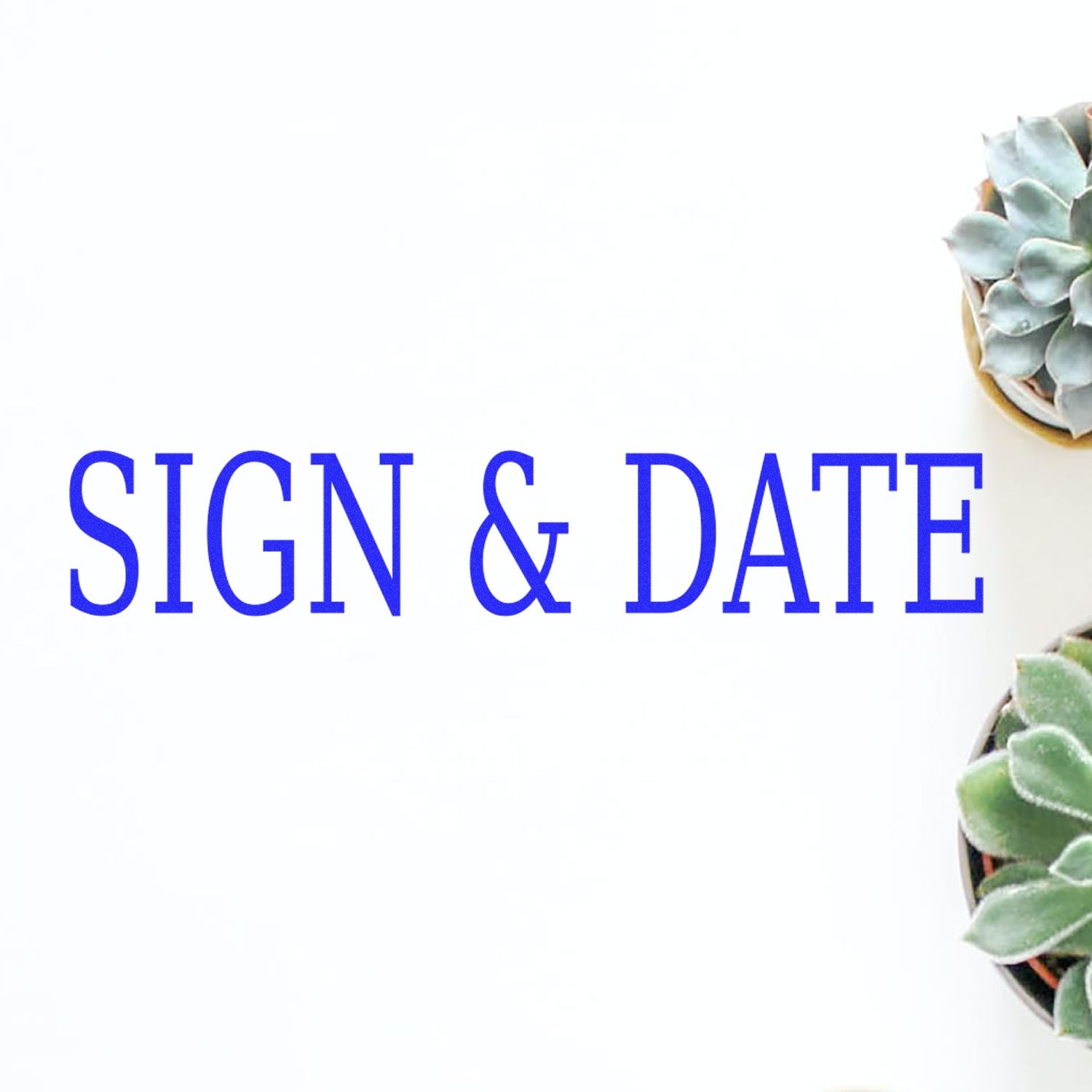 Sign & Date Rubber Stamp in blue text with two potted succulents on the right side against a white background.