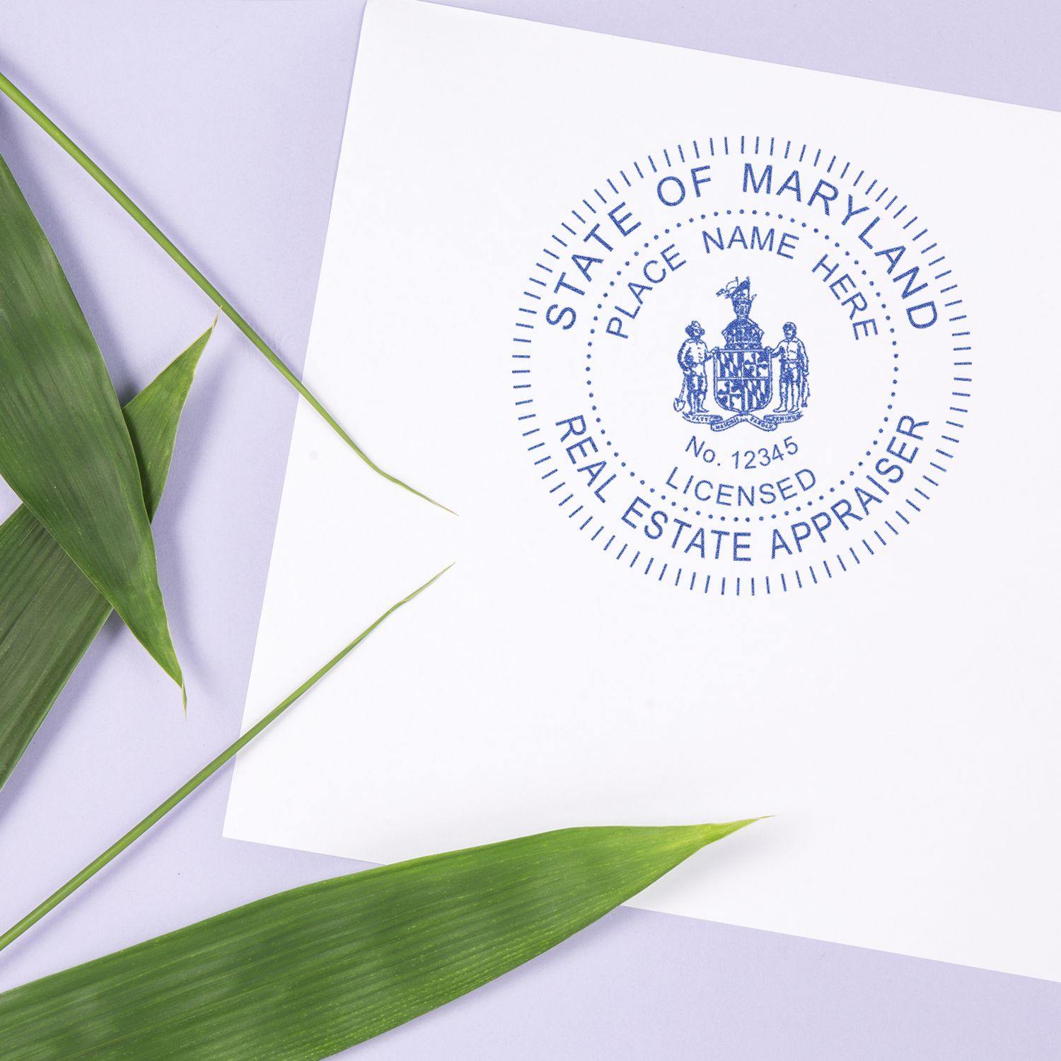 Real Estate Appraiser Regular Rubber Stamp of Seal in blue ink on white paper, surrounded by green leaves on a light background.